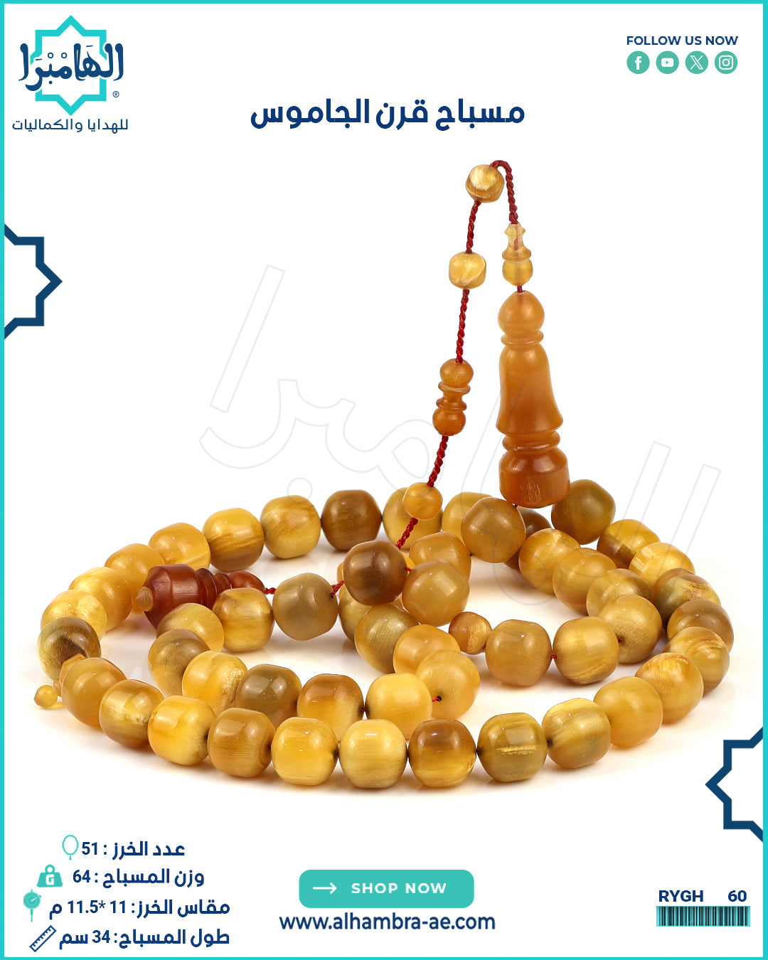 مسباح قرن ملكي