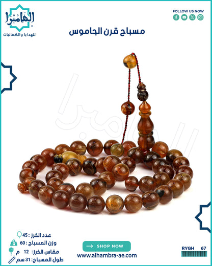 قرن الجاموس