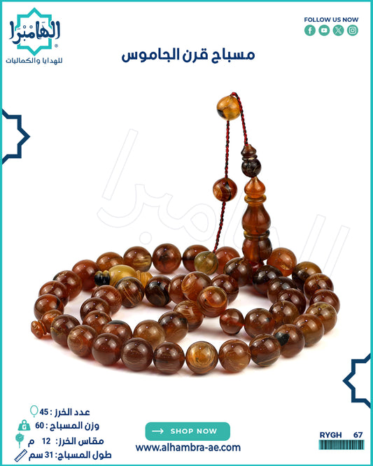 قرن الجاموس
