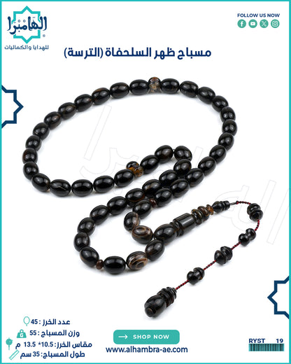 ظهر السلحفاة