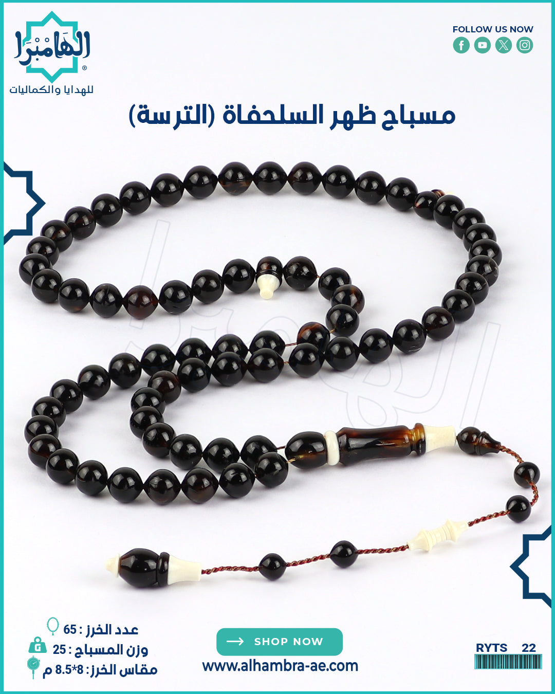 مسباح ظهر السلحفاة الطبيعي