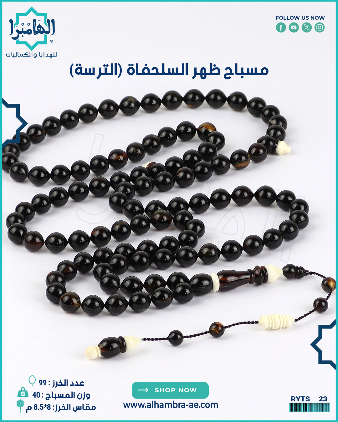 مسباح ظهر السلحفاة الطبيعي