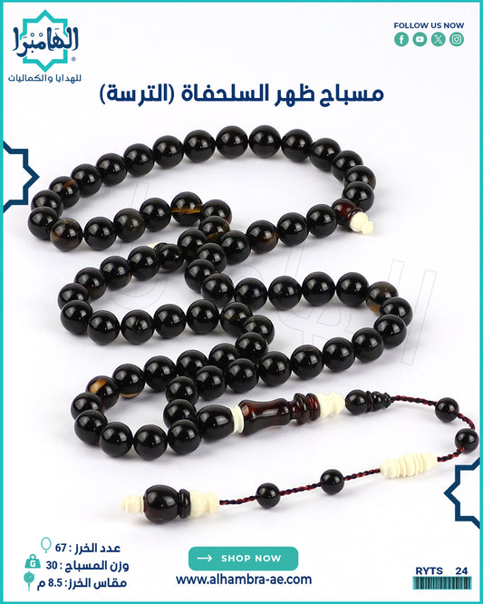 مسباح ظهر السلحفاة الطبيعي