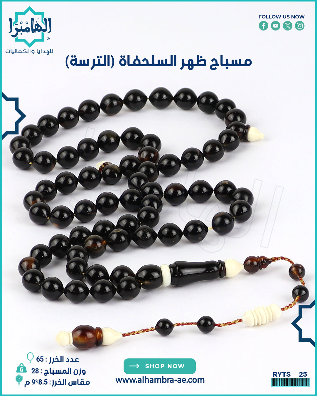 مسباح ظهر السلحفاة الطبيعي
