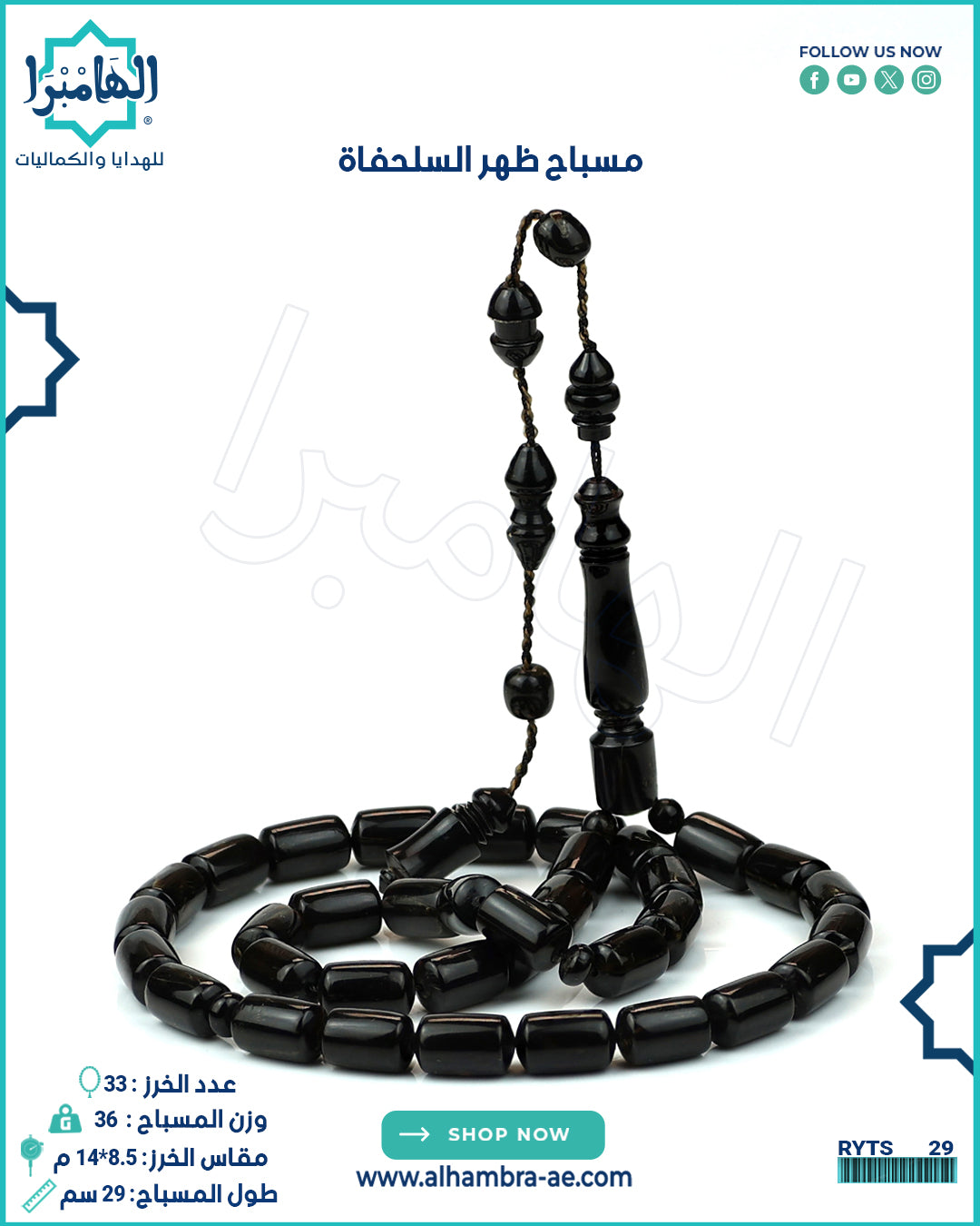 مسباح ظهر السلحفاة