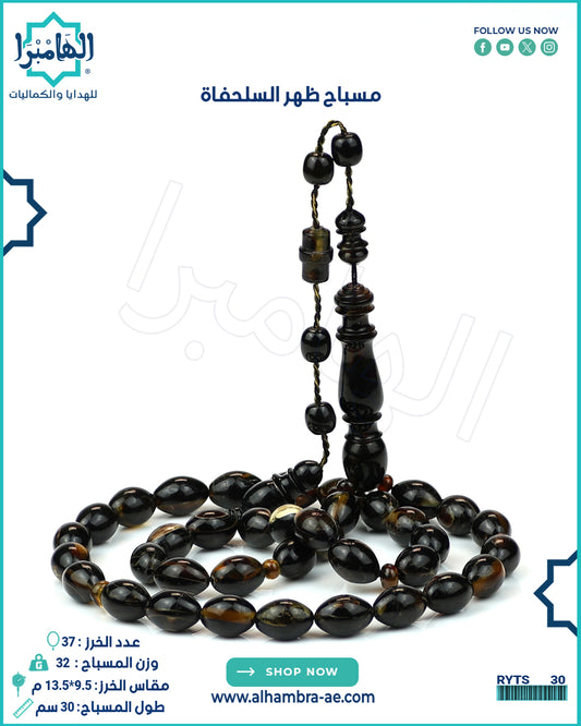 ظهر السلحفاه
