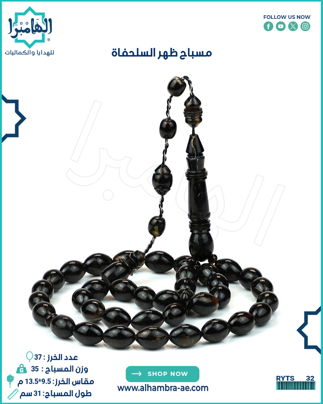 ظهر السلحفاة