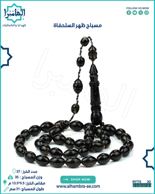 ظهر السلحفاة