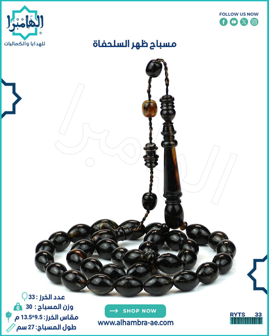 ظهر السلحفاة