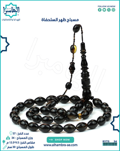 ظهر السلحفاه
