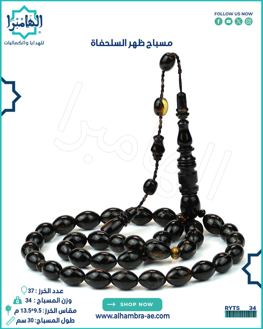 ظهر السلحفاه