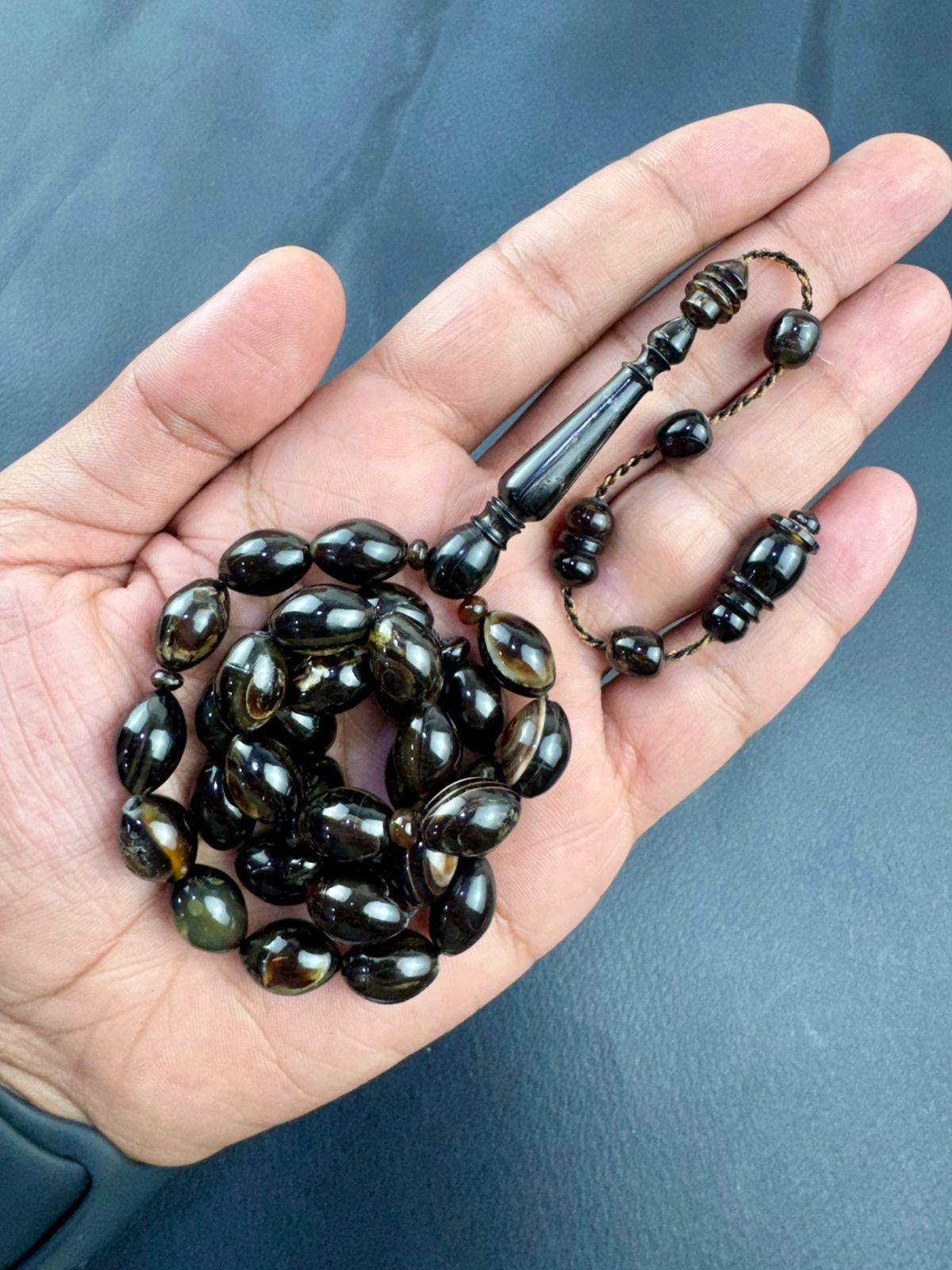 مسباح ظهر السلحفاة
