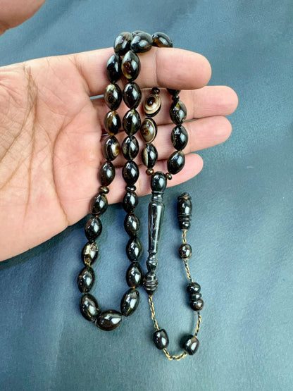 مسباح ظهر السلحفاة