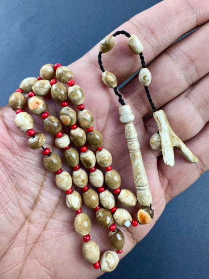 مسباح يسر وردي