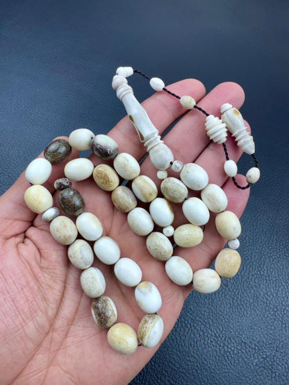 مسباح قرن الغزال