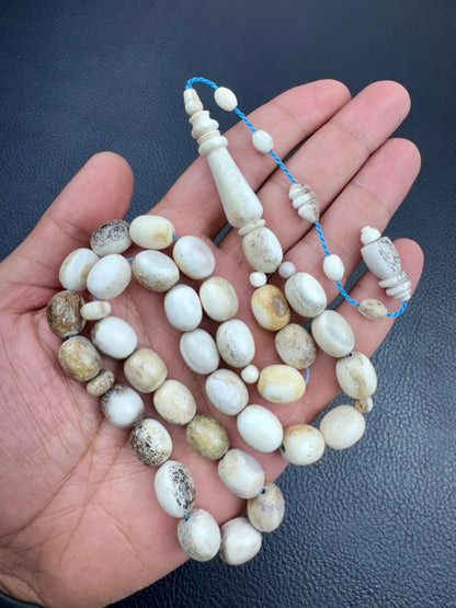 مسباح قرن الغزال