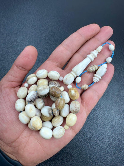 مسباح قرن الغزال