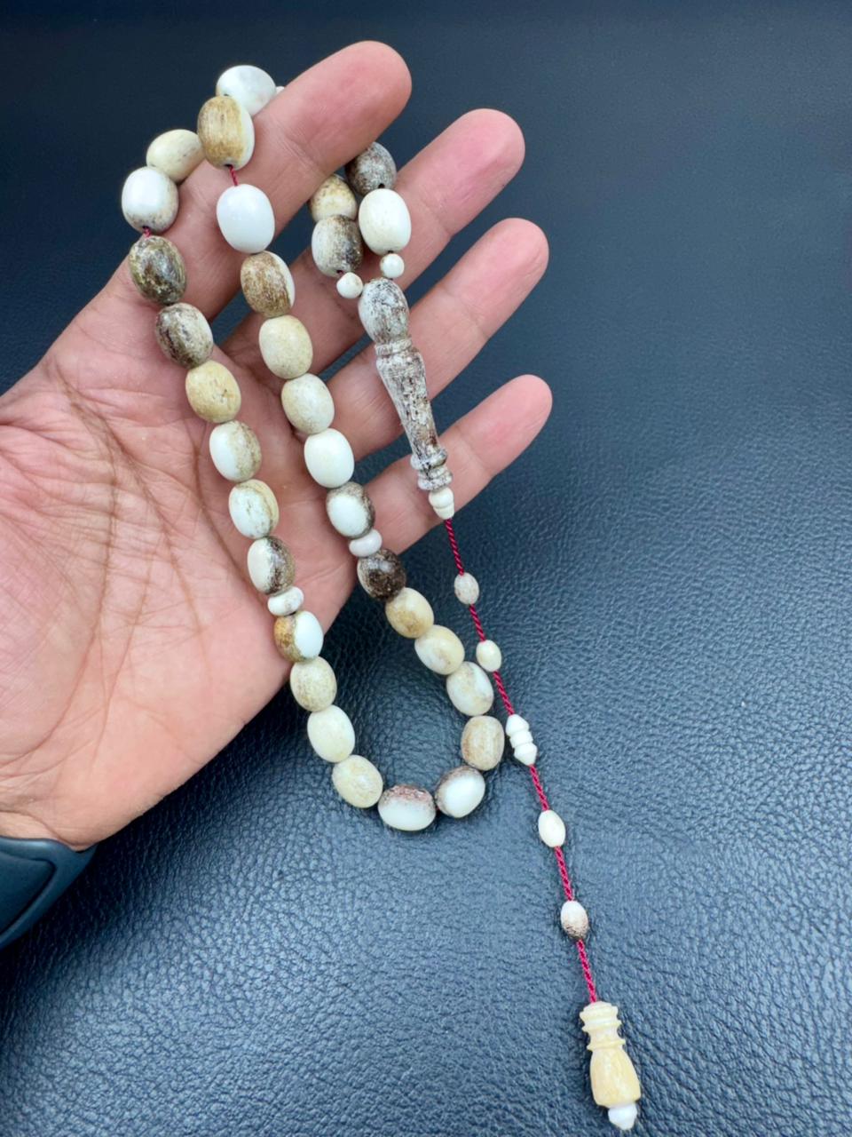 مسباح قرن الغزال