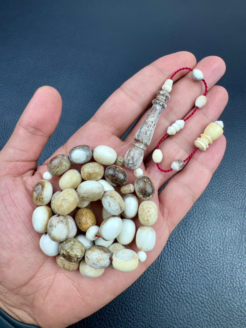 مسباح قرن الغزال