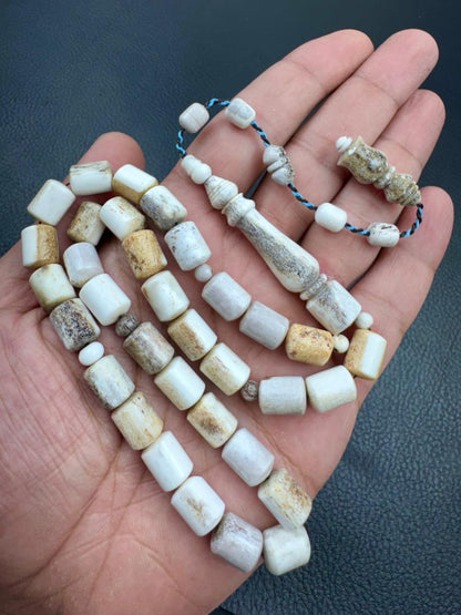 مسباح قرن الغزال