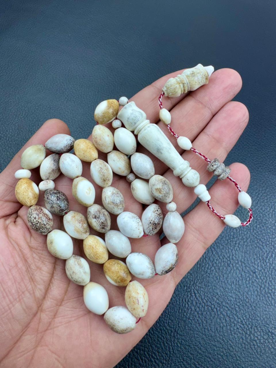 مسباح قرن الغزال