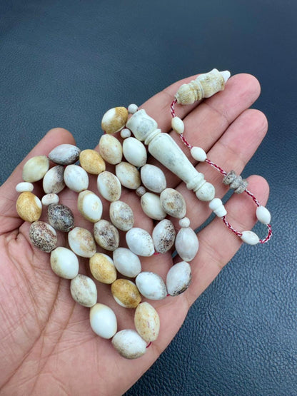 مسباح قرن الغزال