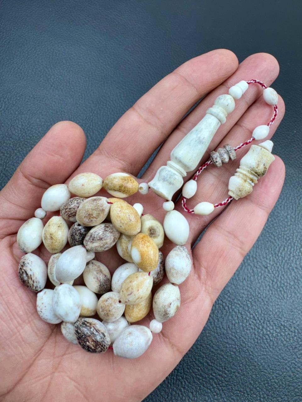 مسباح قرن الغزال