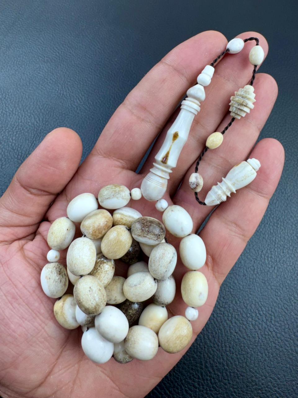 مسباح قرن الغزال