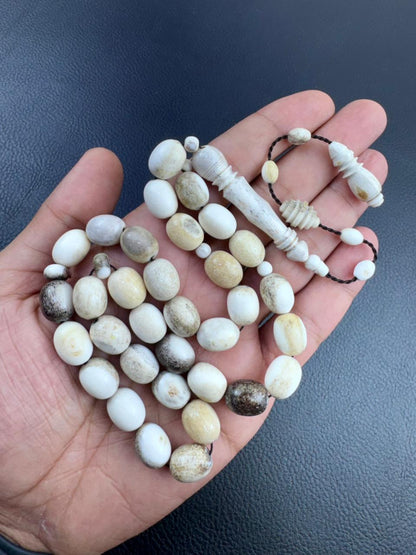 مسباح قرن الغزال