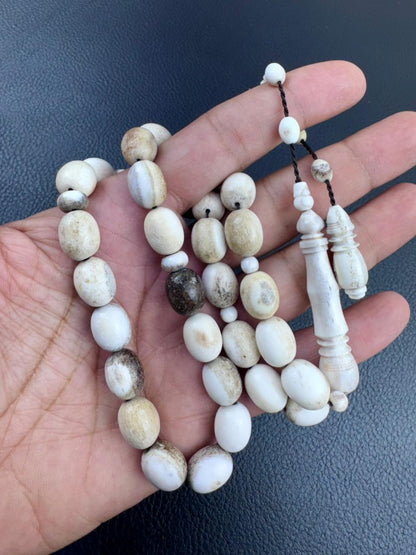 مسباح قرن الغزال