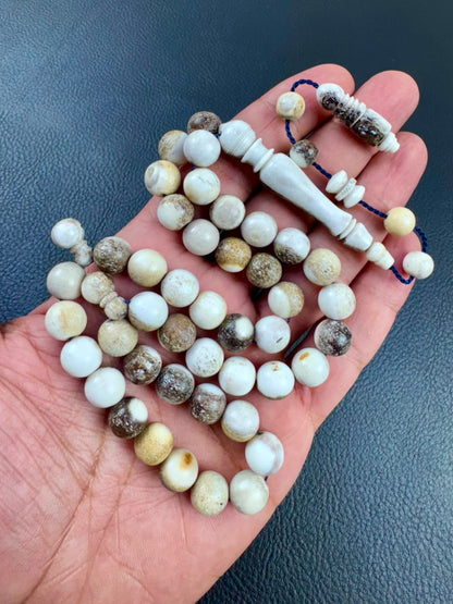 مسباح قرن الغزال